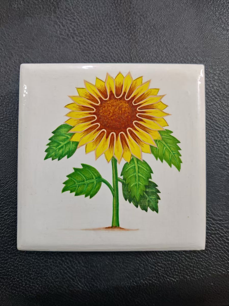 Papier Mache Coaster Box with 6 Coasters