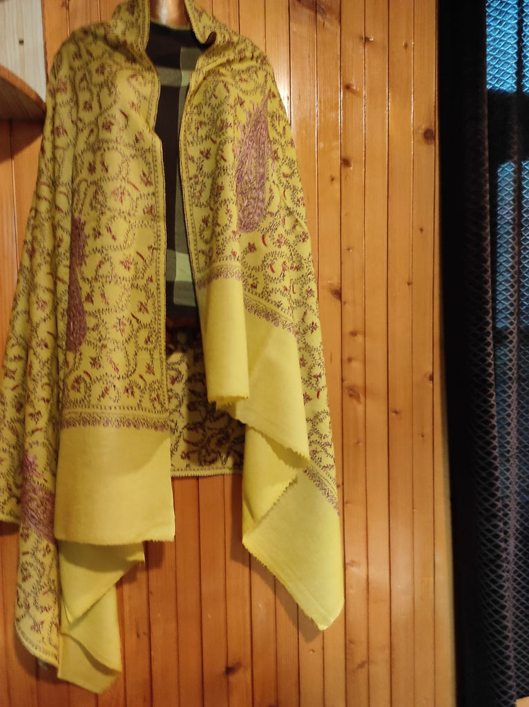 Kashmiri Pure Pashmina Shawls Treasure Collection