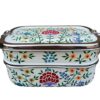 Hand-Painted 2-Tier Steel Tiffin Carrier White Floral
